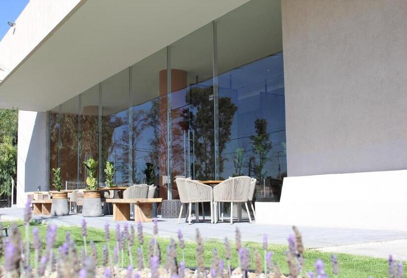 Отель Mexico Plaza Queretaro