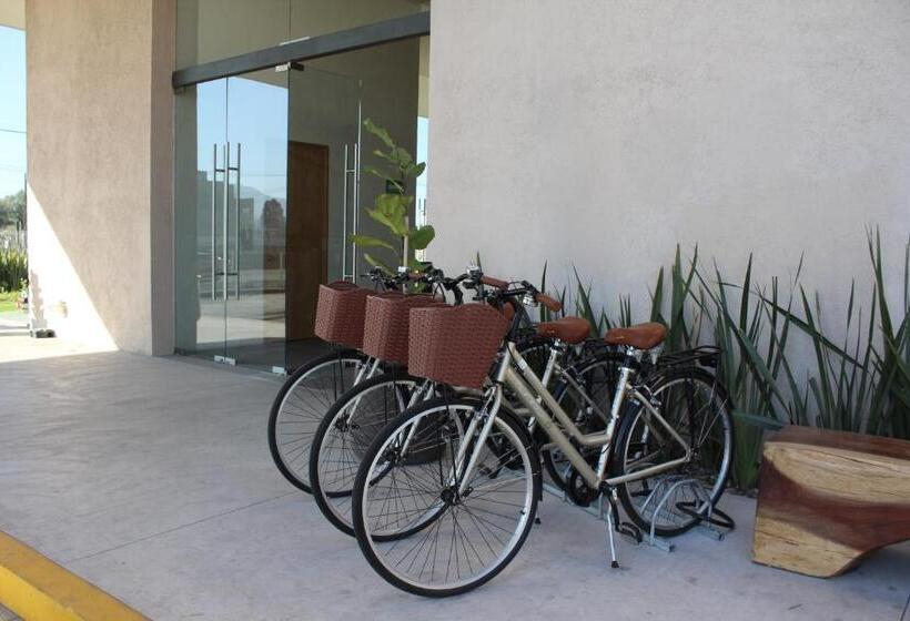 Отель Mexico Plaza Queretaro