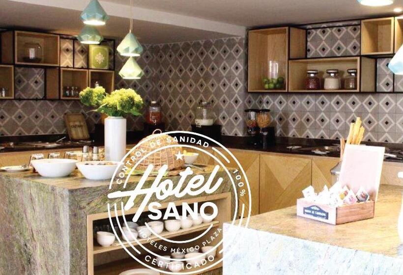 Отель Mexico Plaza Queretaro