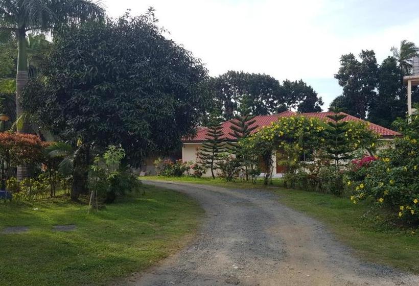 Phil Oasis  And Resorts