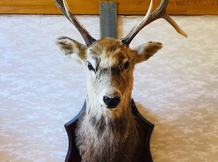 ריוקאן Lake Side Nikko