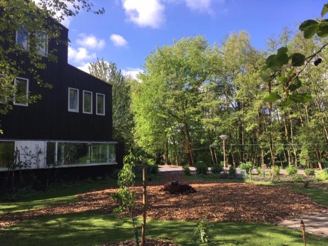 旅馆 Villa Buitenlust