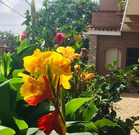 فندق Boutique Jardín De Flores