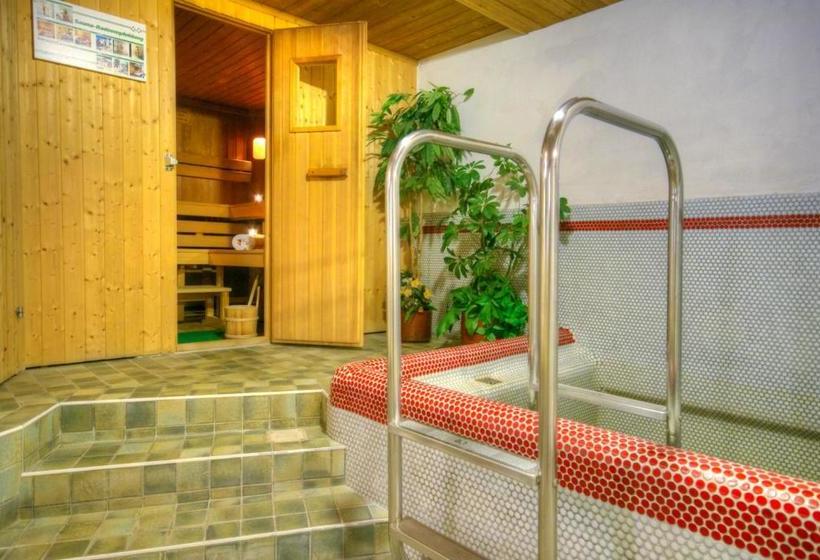 Отель Garni Birkenheim