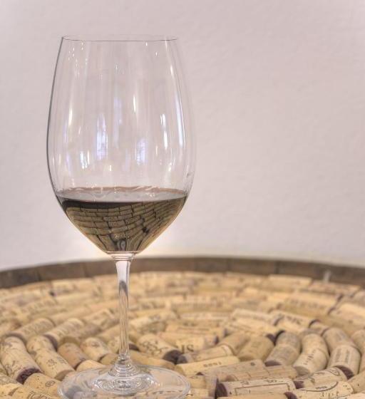 ホテル Garni Europa