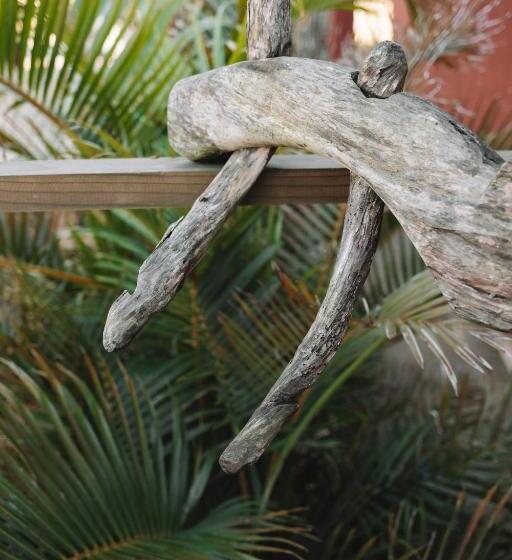 בית מלון כפרי Sapê Guest