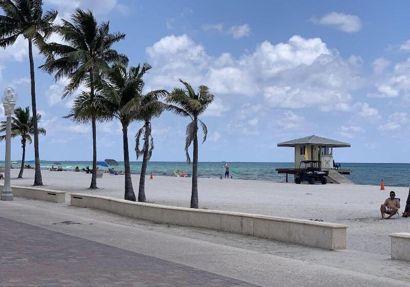 Отель The Palms