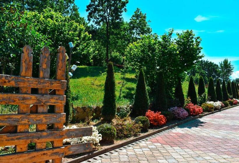 بنسيون Casa Papițu