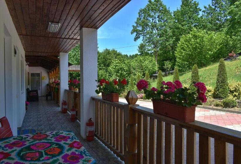 بنسيون Casa Papițu