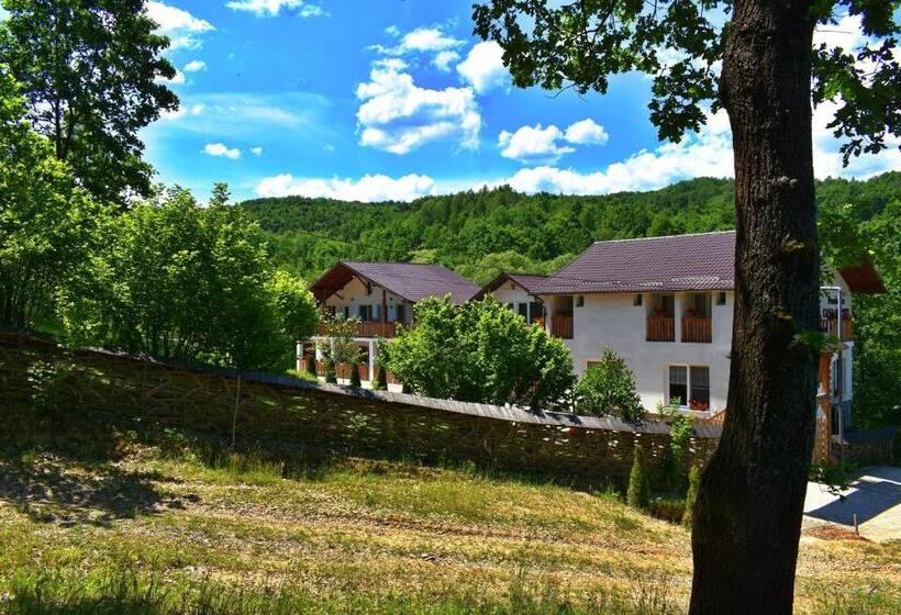 بنسيون Casa Papițu