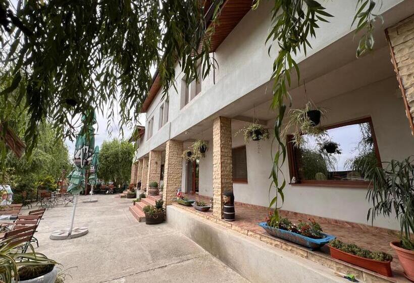 Пансион Casa Vera, Tudor Vladimirescu