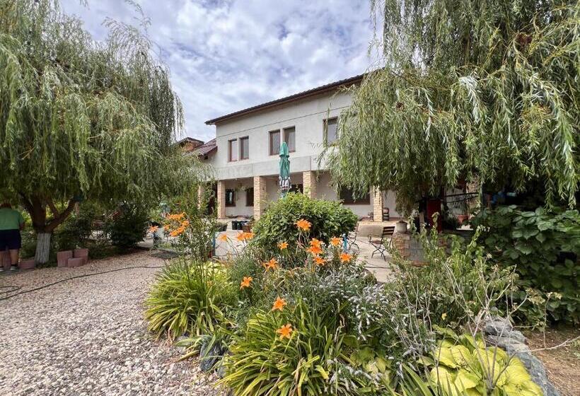 Пансион Casa Vera, Tudor Vladimirescu