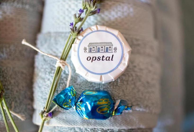 פנסיון Opstal Gastehuis