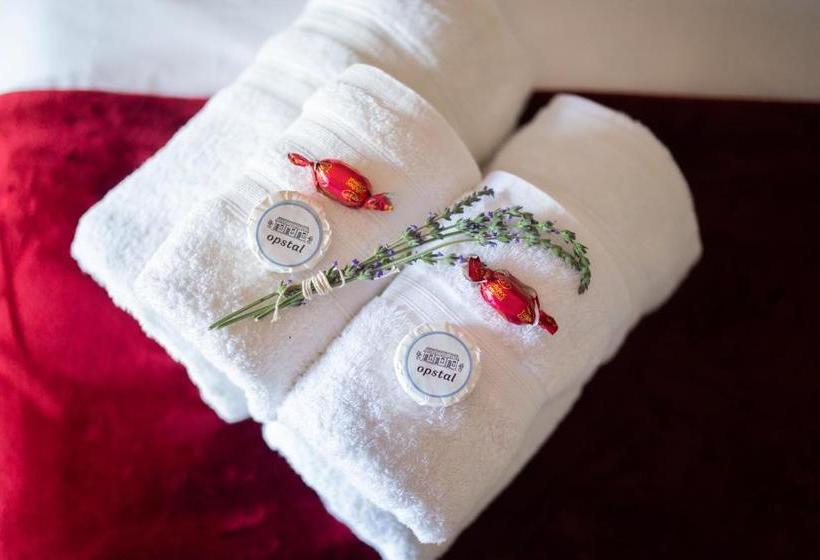 פנסיון Opstal Gastehuis