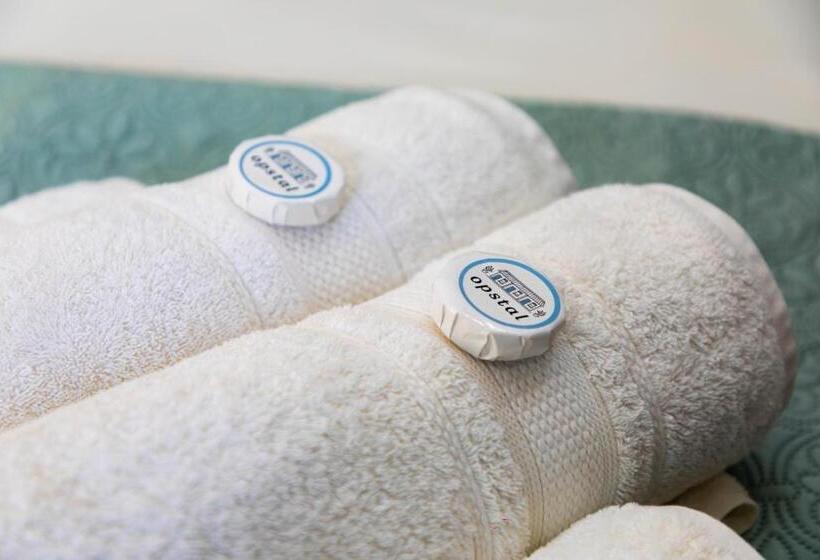 פנסיון Opstal Gastehuis