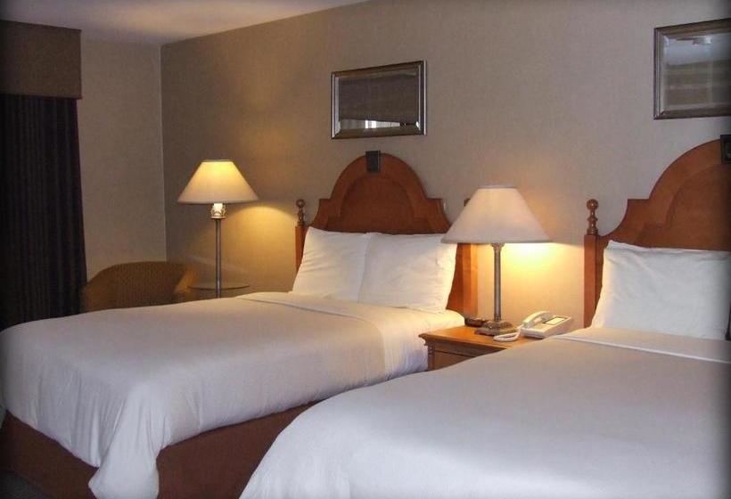 ホテル Ambassador Inn At Marquette