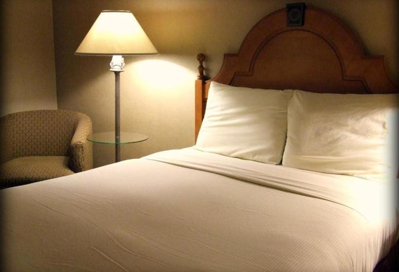 ホテル Ambassador Inn At Marquette