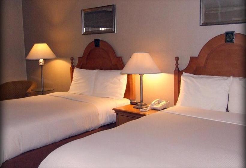 ホテル Ambassador Inn At Marquette