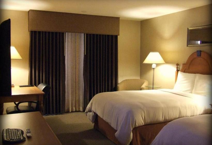 ホテル Ambassador Inn At Marquette