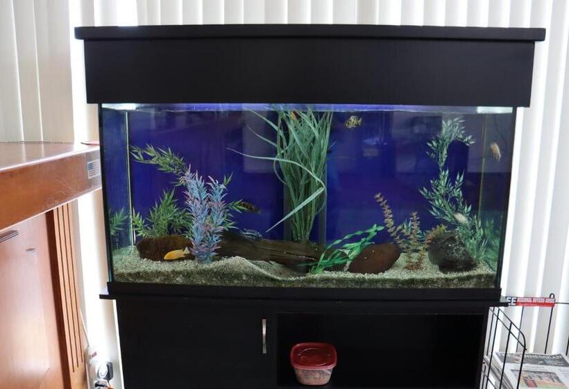 בית מלון כפרי Extended Stay Suites Cookeville   Tennessee Tech