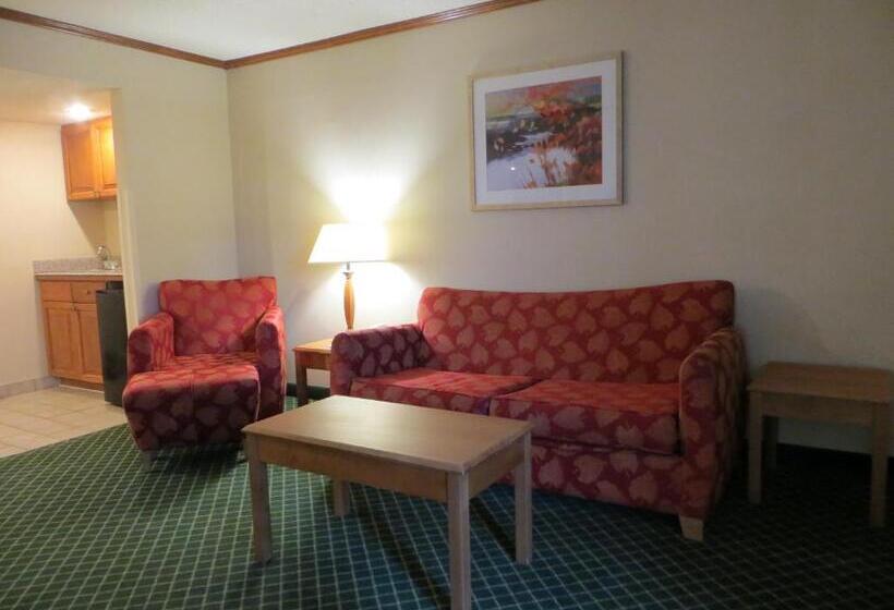 בית מלון כפרי Baymont By Wyndham Kalamazoo East