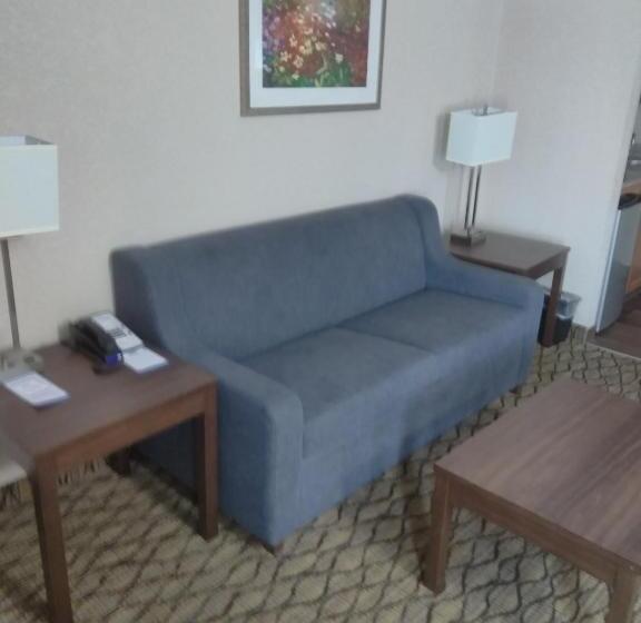 ホテル Baymont By Wyndham Madison Heights Detroit Area