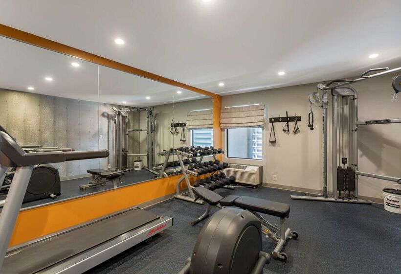 בית מלון כפרי Best Western Plus Bowling Green