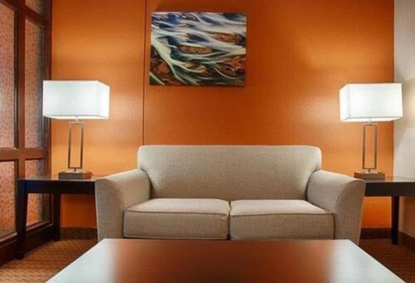 فندق Best Western Plus Lubbock Windsor Inn