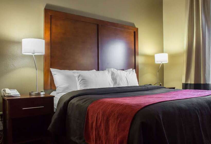 هتل Comfort Inn & Suites Near Kino Sports Complex