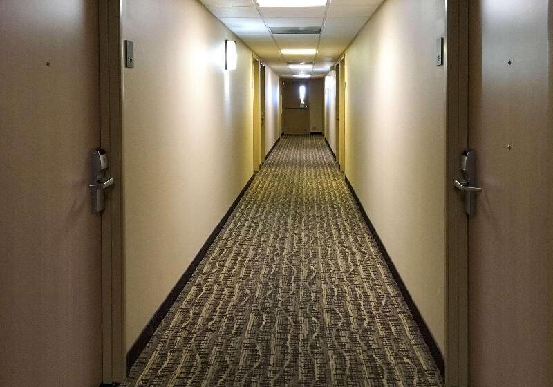 هتل Comfort Inn & Suites Near Kino Sports Complex