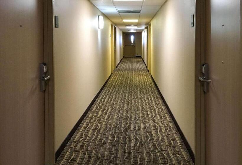 هتل Comfort Inn & Suites Near Kino Sports Complex