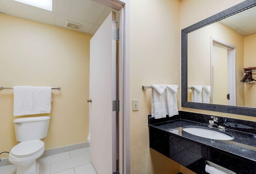 فندق Comfort Inn & Suites