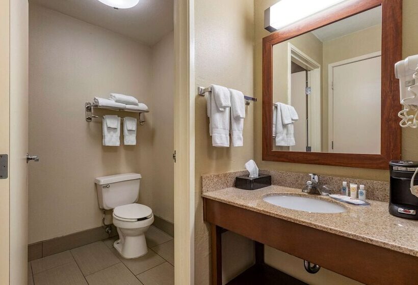فندق Comfort Inn & Suites Waterloo  Cedar Falls
