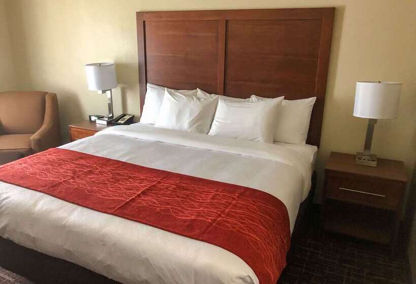 בית מלון כפרי Comfort Inn Wichita Falls Near University
