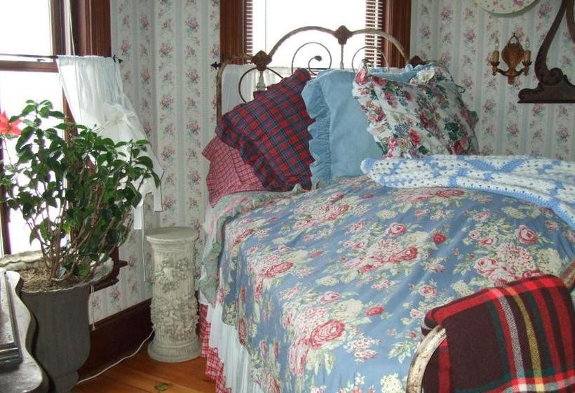 فندق Complejo Enchanted Nights Bed & Breakfast