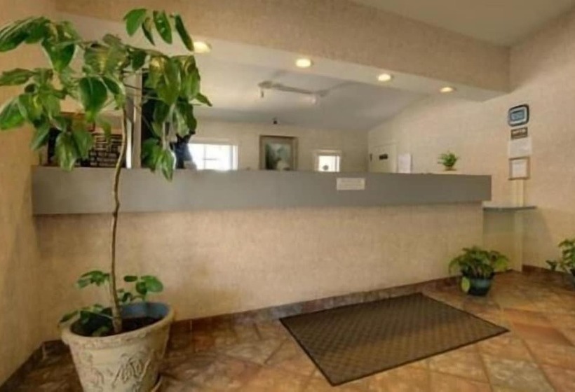 فندق Edinburg Executive Inn