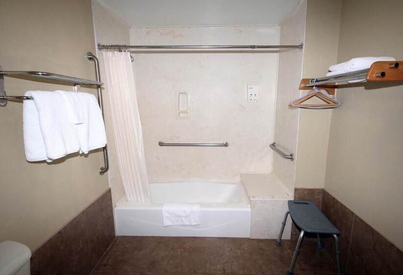 فندق Edinburg Executive Inn