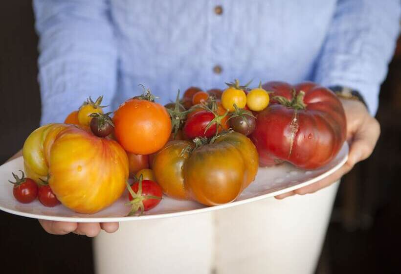 Отель El Dorado