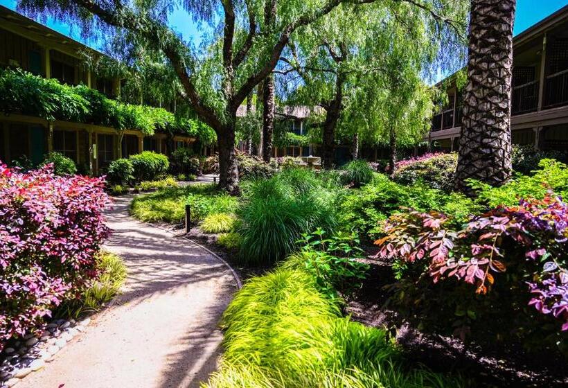 فندق El Pueblo Inn