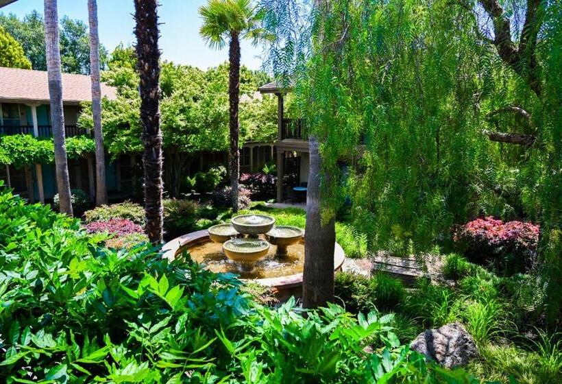 فندق El Pueblo Inn