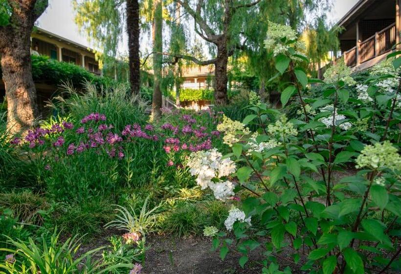 فندق El Pueblo Inn