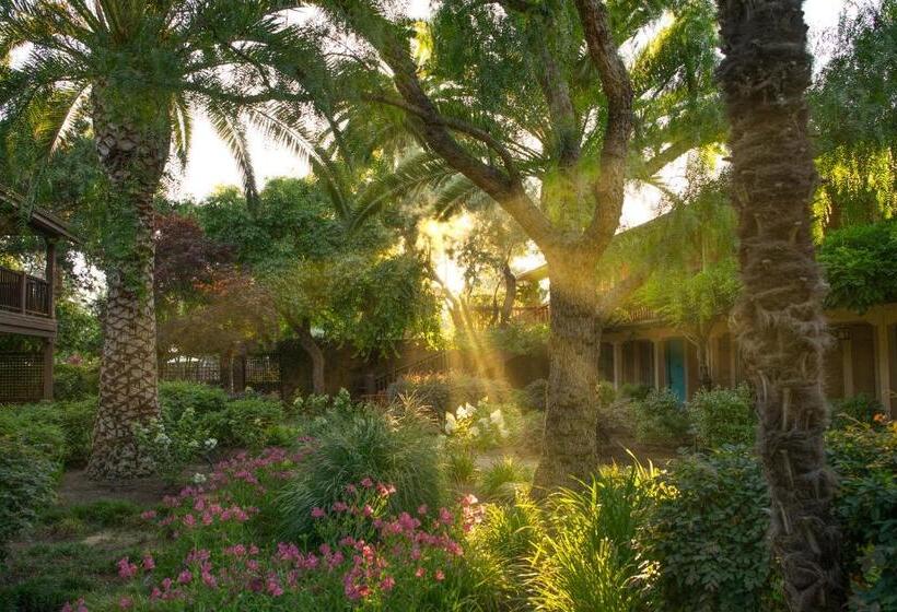 فندق El Pueblo Inn