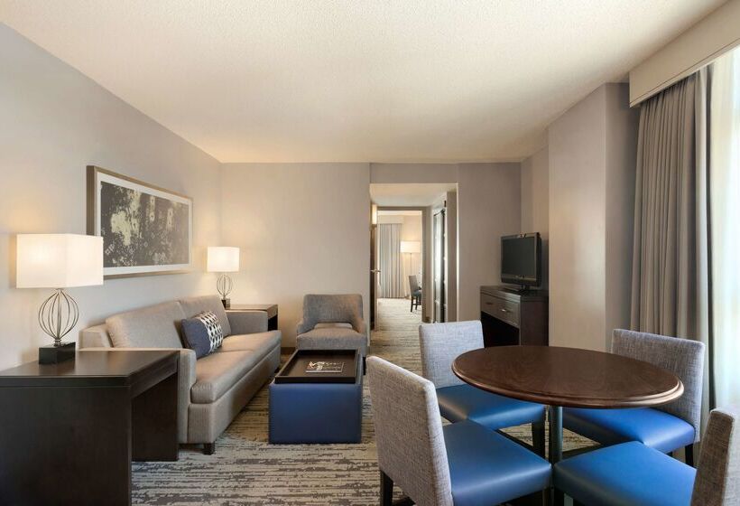Отель Embassy Suites By Hilton Atlanta At Centennial Olympic Park