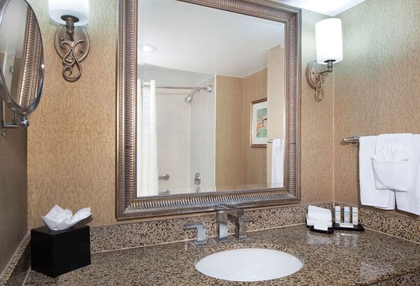 בית מלון כפרי Embassy Suites By Hilton Dallas Near The Galleria