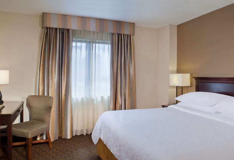 בית מלון כפרי Embassy Suites By Hilton Dallas Near The Galleria