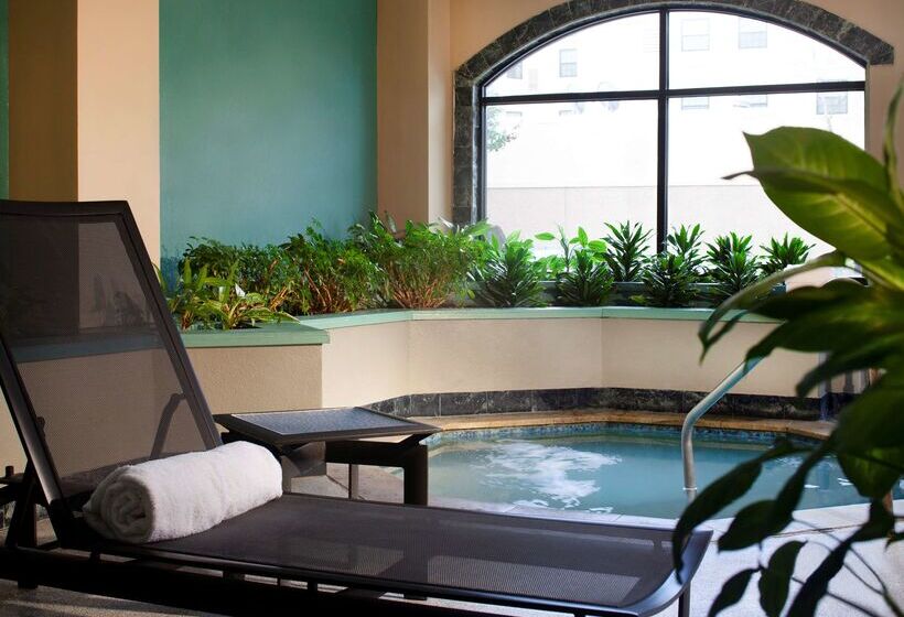 ホテル Embassy Suites By Hilton Houston Near The Galleria