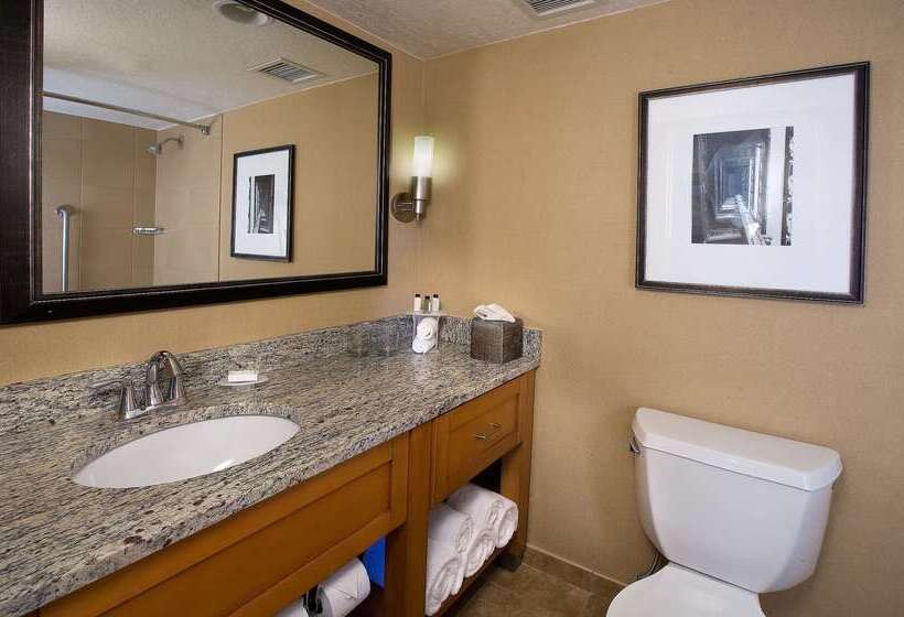 בית מלון כפרי Embassy Suites By Hilton Kansas City International Airport