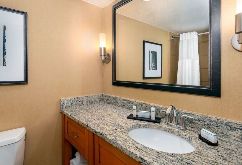 فندق Embassy Suites By Hilton Kansas City International Airport