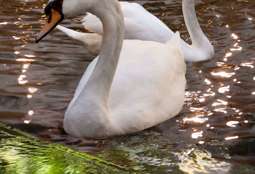 فندق Embassy Suites By Hilton Las Vegas