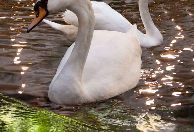 فندق Embassy Suites By Hilton Las Vegas